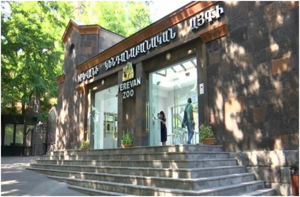 Հրատապ․ գազանանոցում անկել է զեբր՝ ոչ մասնագիտական մոտեցման հետևանքով (լուսանկար, տեսանյութ)